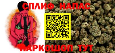 apvp Рузаевка