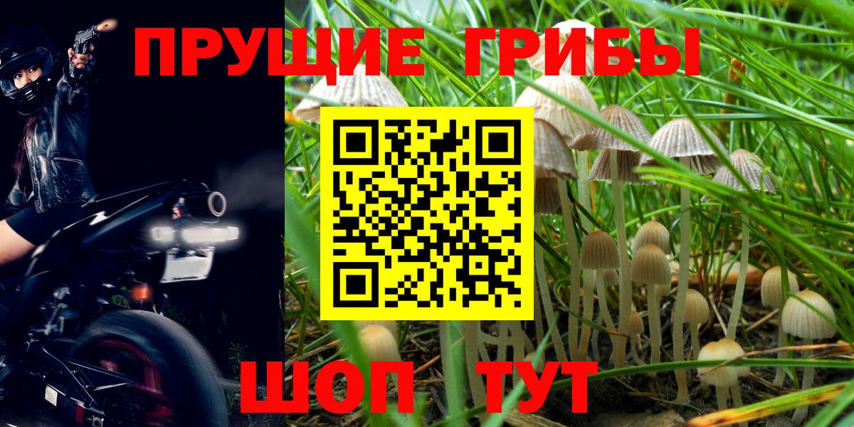 Галлюциногенные грибы прущие грибы  Псилоцибиновые грибы Magic Shrooms  Вход с VPN  Обнинск 
